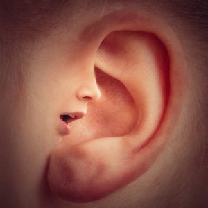 ear,nose image