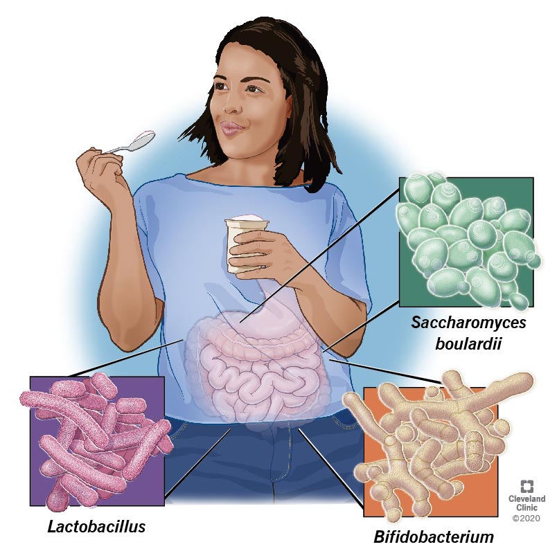 probiotics image