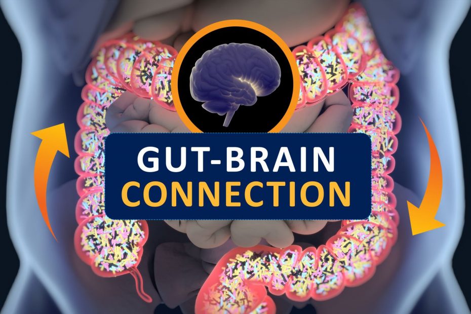 gut brain connection image