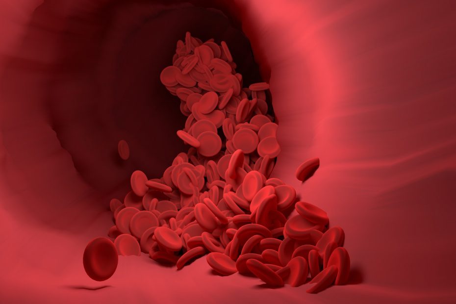 red blood cells image
