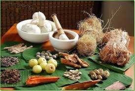 traditional medicine image