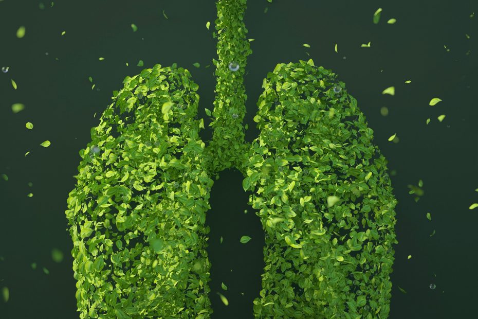 healthy lungs image