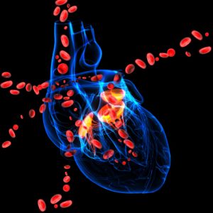 heart valve image